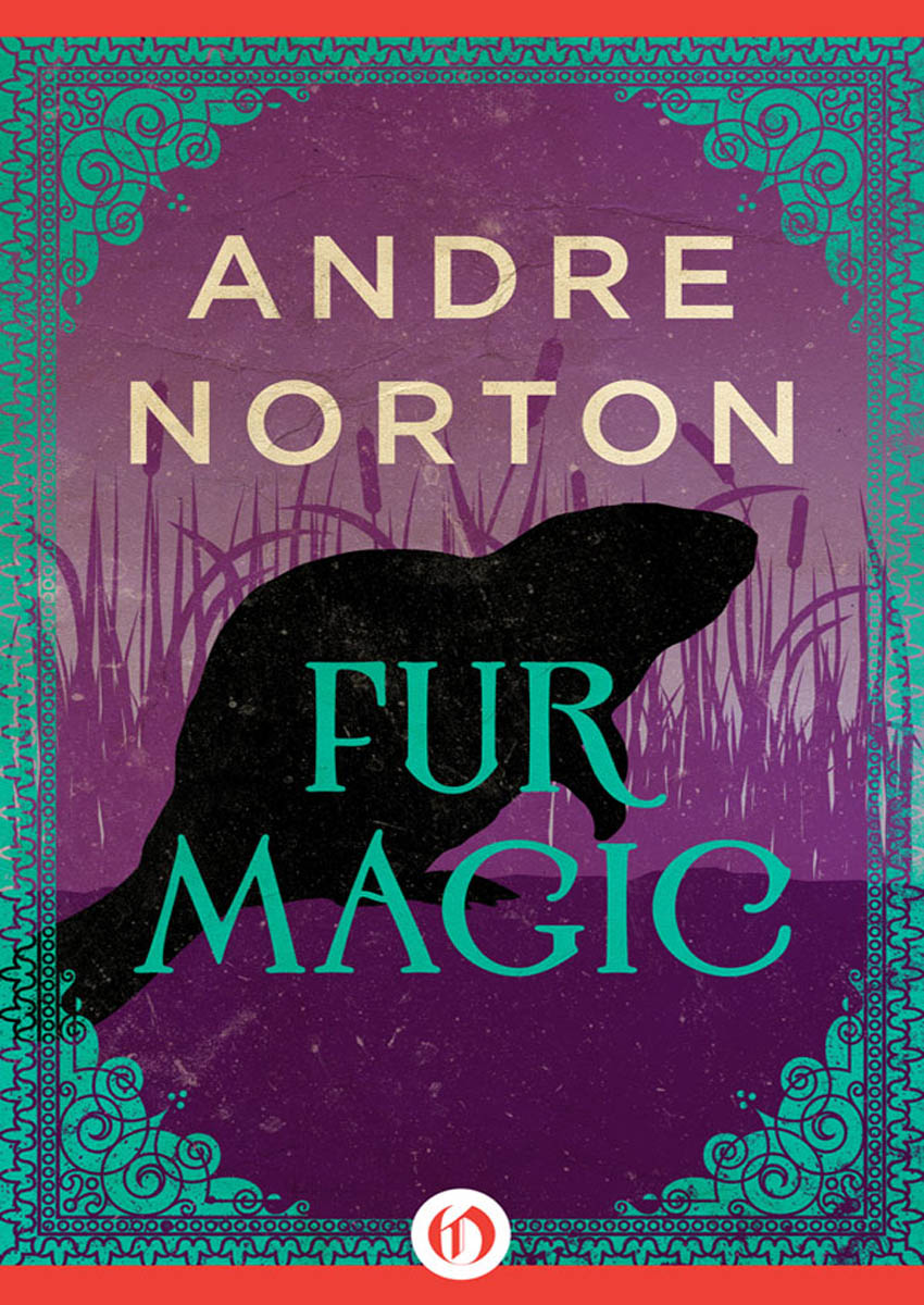Fur Magic