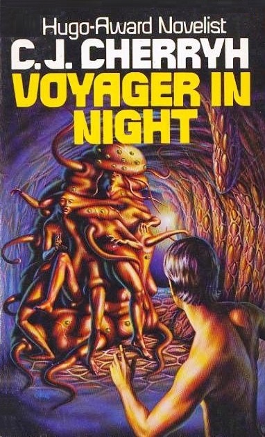 Voyager in Night