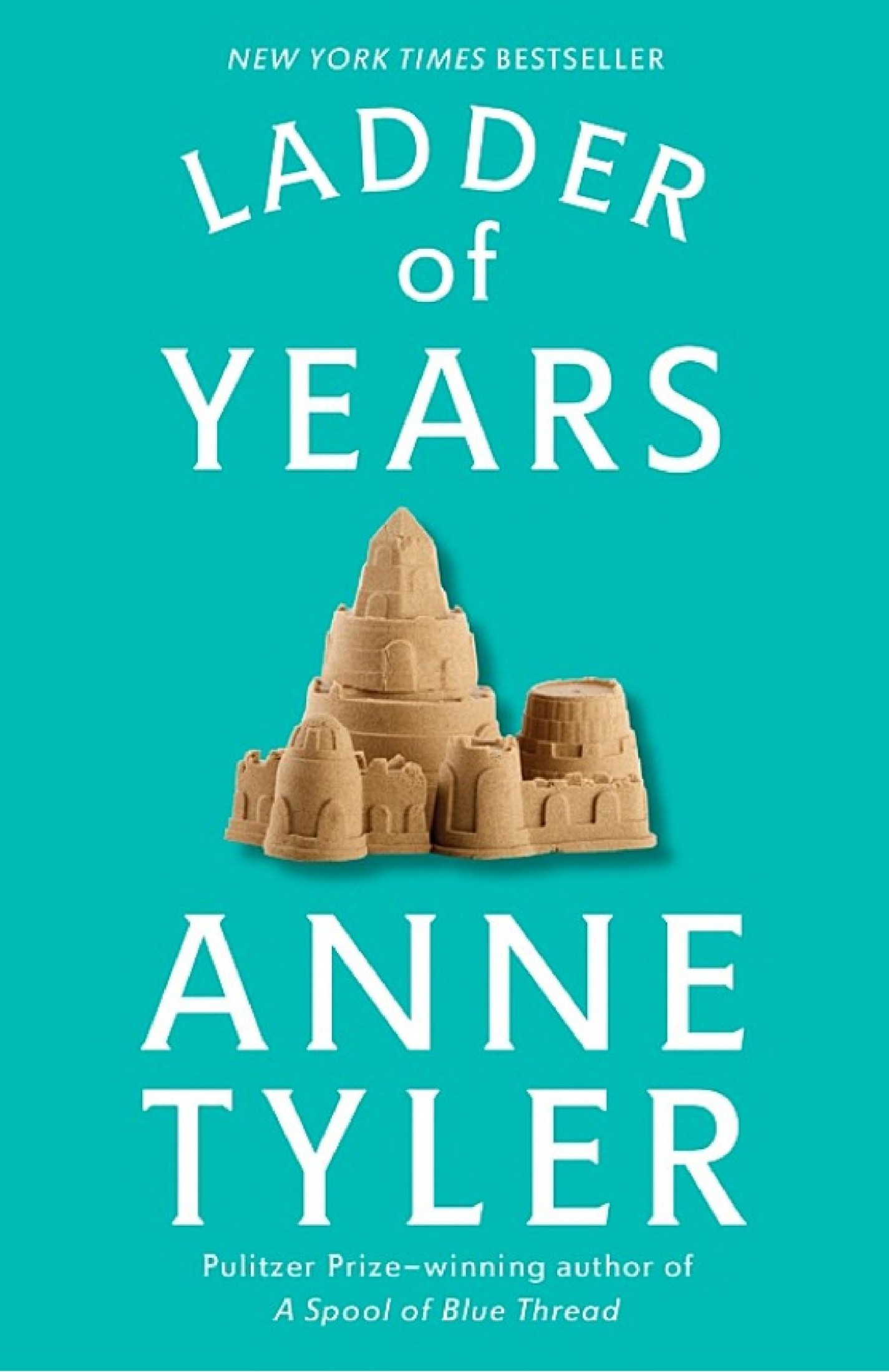 Ladder of Years: A Novel