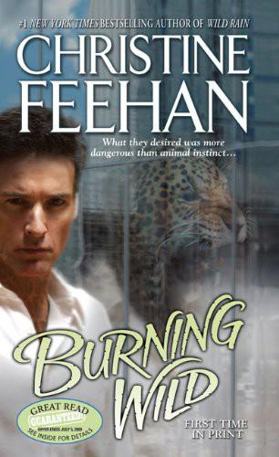 Leopard 03 - Burning Wild
