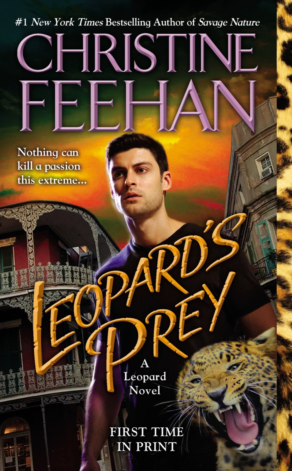 L06 Leopard's Prey